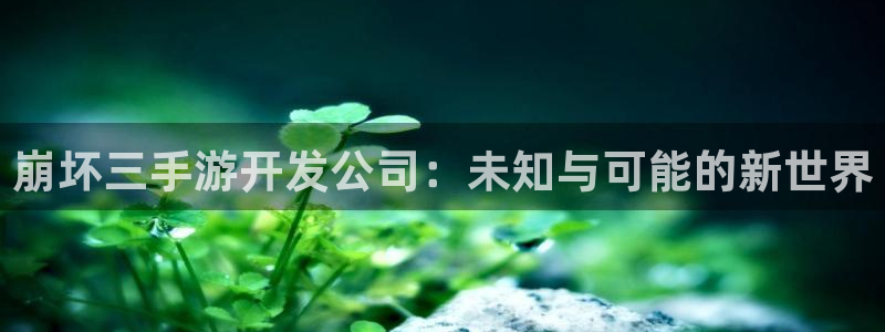 28大神预测网：崩坏三手游开发公司：未知与可能的新世界
