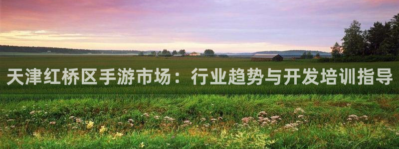 28大神官方下载苹果：天津红桥区手游市场：行业趋势与开发培训