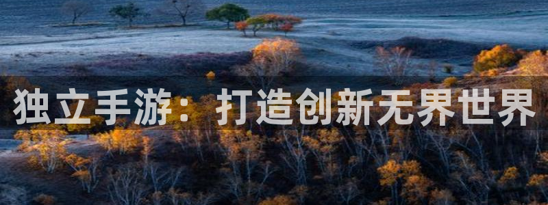 28大神预测app苹果：独立手游：打造创新无界世界