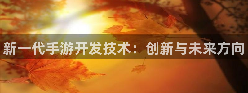 28大神老版本：新一代手游开发技术：创新与未来方向