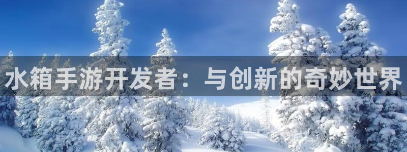 28大神预测群号：水箱手游开发者：与创新的奇妙世界