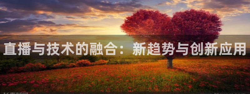 上海体育频道五星体育台在线直播