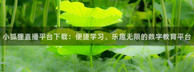 五星体育今天直播节目表