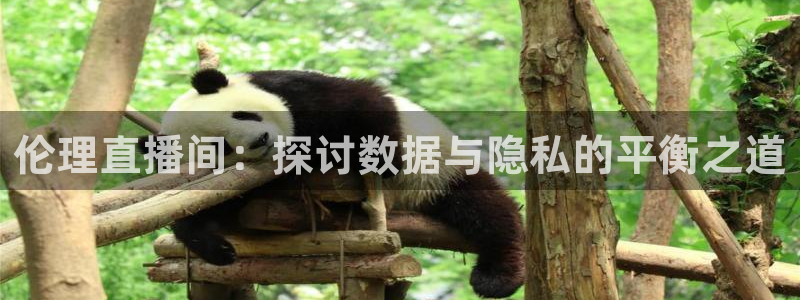 五星体育直播在线观看：伦理直播间：探讨数据与隐私的平衡之道