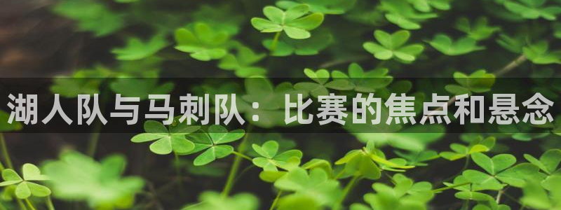 五星体育斯诺克直播：湖人队与马刺队：比赛的焦点和悬念